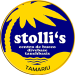 Stollis Logo